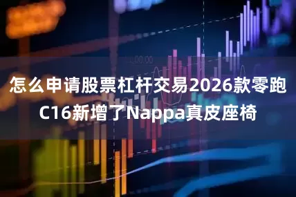 怎么申请股票杠杆交易2026款零跑C16新增了Nappa真皮座椅