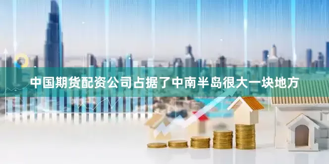 中国期货配资公司占据了中南半岛很大一块地方