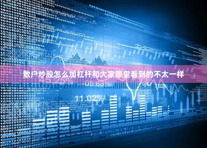 散户炒股怎么加杠杆和大家眼里看到的不太一样
