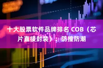 十大股票软件品牌排名 COB（芯片直接封装）：防撞防潮