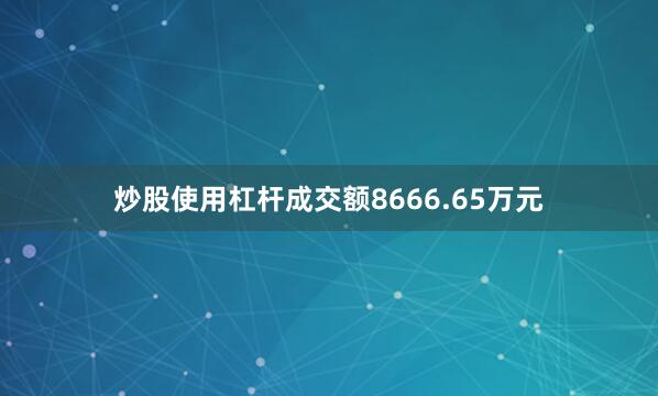炒股使用杠杆成交额8666.65万元