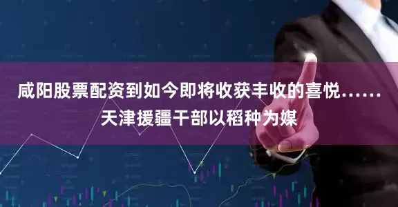 咸阳股票配资到如今即将收获丰收的喜悦……天津援疆干部以稻种为媒